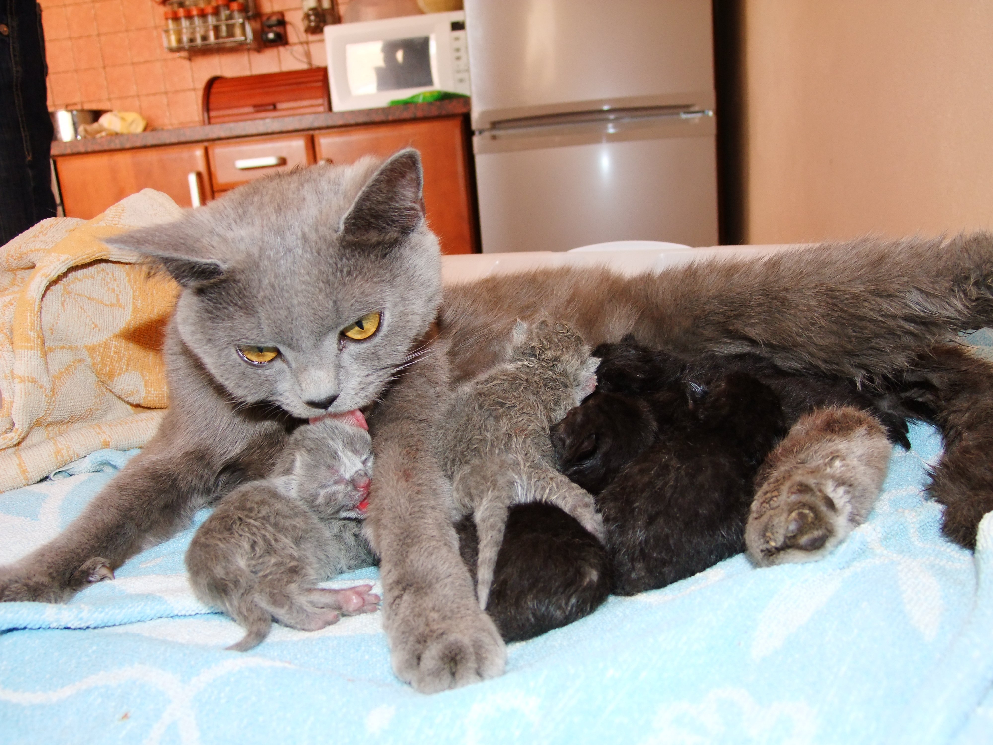 DSCF6257.JPG